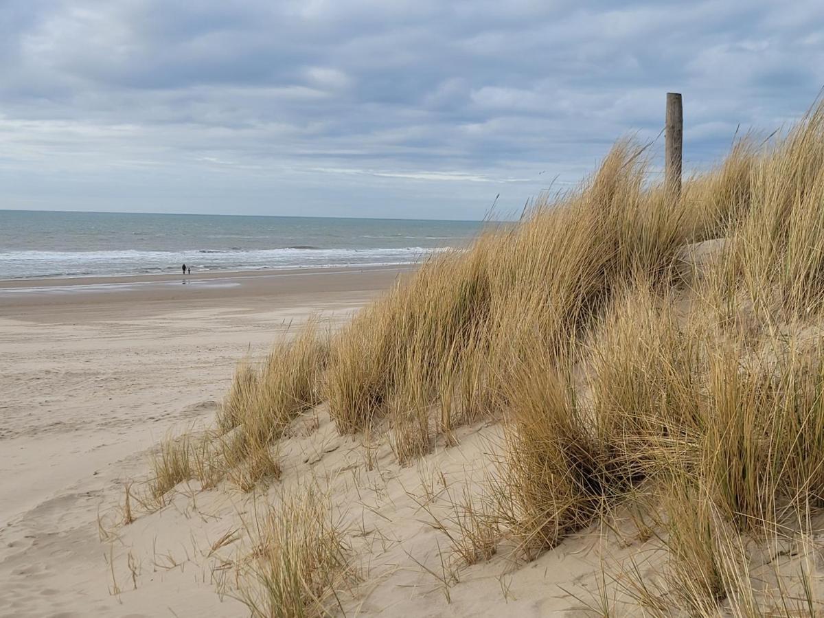 Tiny Villa De Haas Met Infraroodsauna Egmond aan Zee Ngoại thất bức ảnh