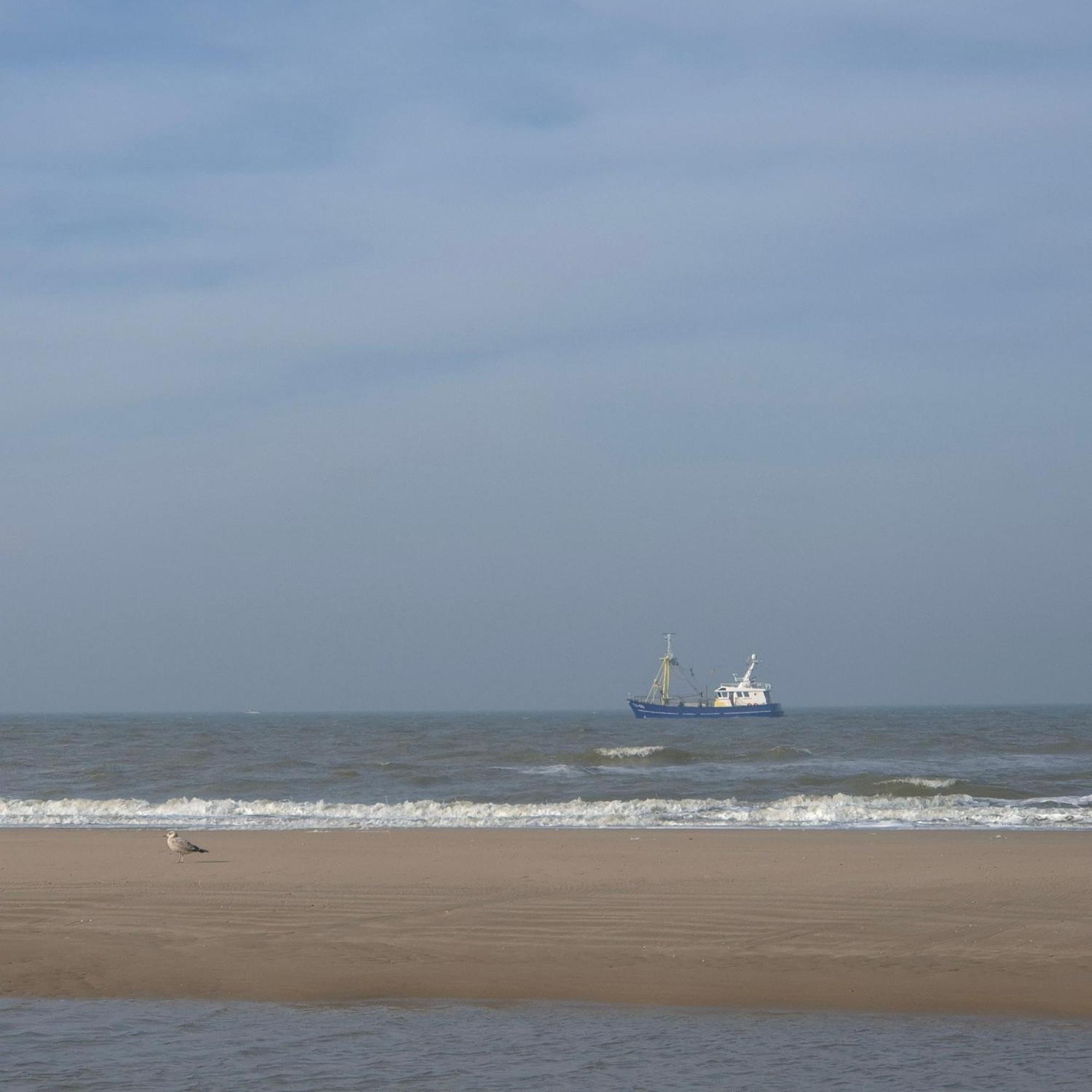 Tiny Villa De Haas Met Infraroodsauna Egmond aan Zee Ngoại thất bức ảnh